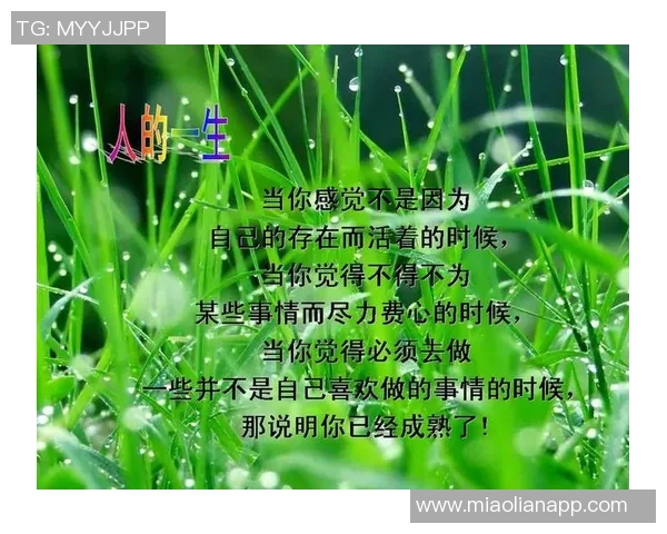 日本足球明星的经典名言与人生哲理的深刻启示